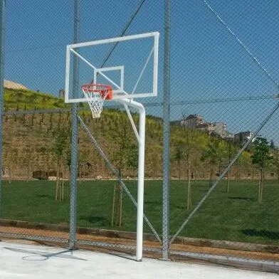 Tek Direkli Basketbol Potası
