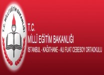 ALİ FUAT CEBESOY İ.Ö.O.