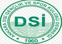 DSİ