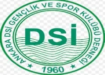 DSİ